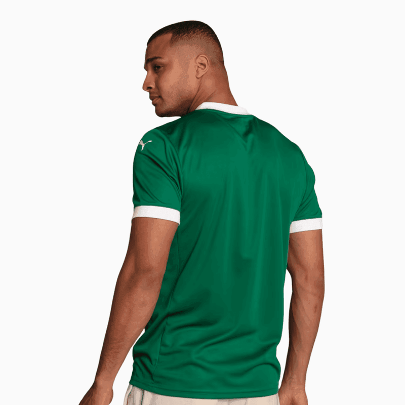 Camisa Puma Palmeiras 2025/26 I Torcedor - Verde