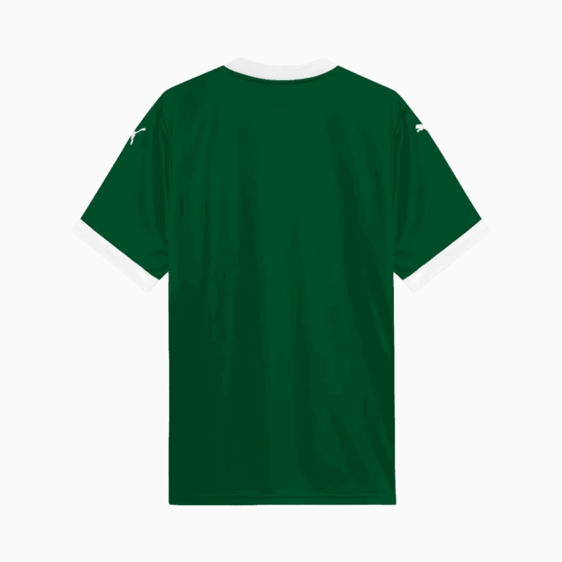 Camisa Puma Palmeiras 2025/26 I Torcedor - Verde