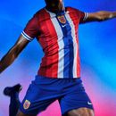 Camisa Noruega Titular 24/25 - Nike Torcedor Masculina